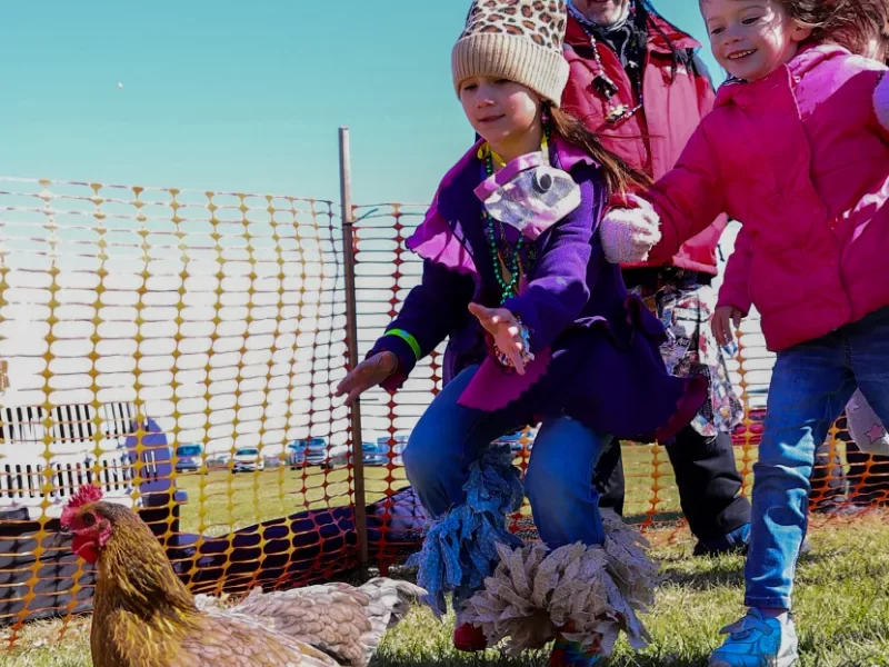 Da Krewe Du Roux Too Membership – Children Ages 0-21